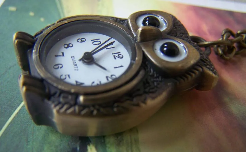 1 PC Antique Bronze Owl Design Pocket Watch  A4608