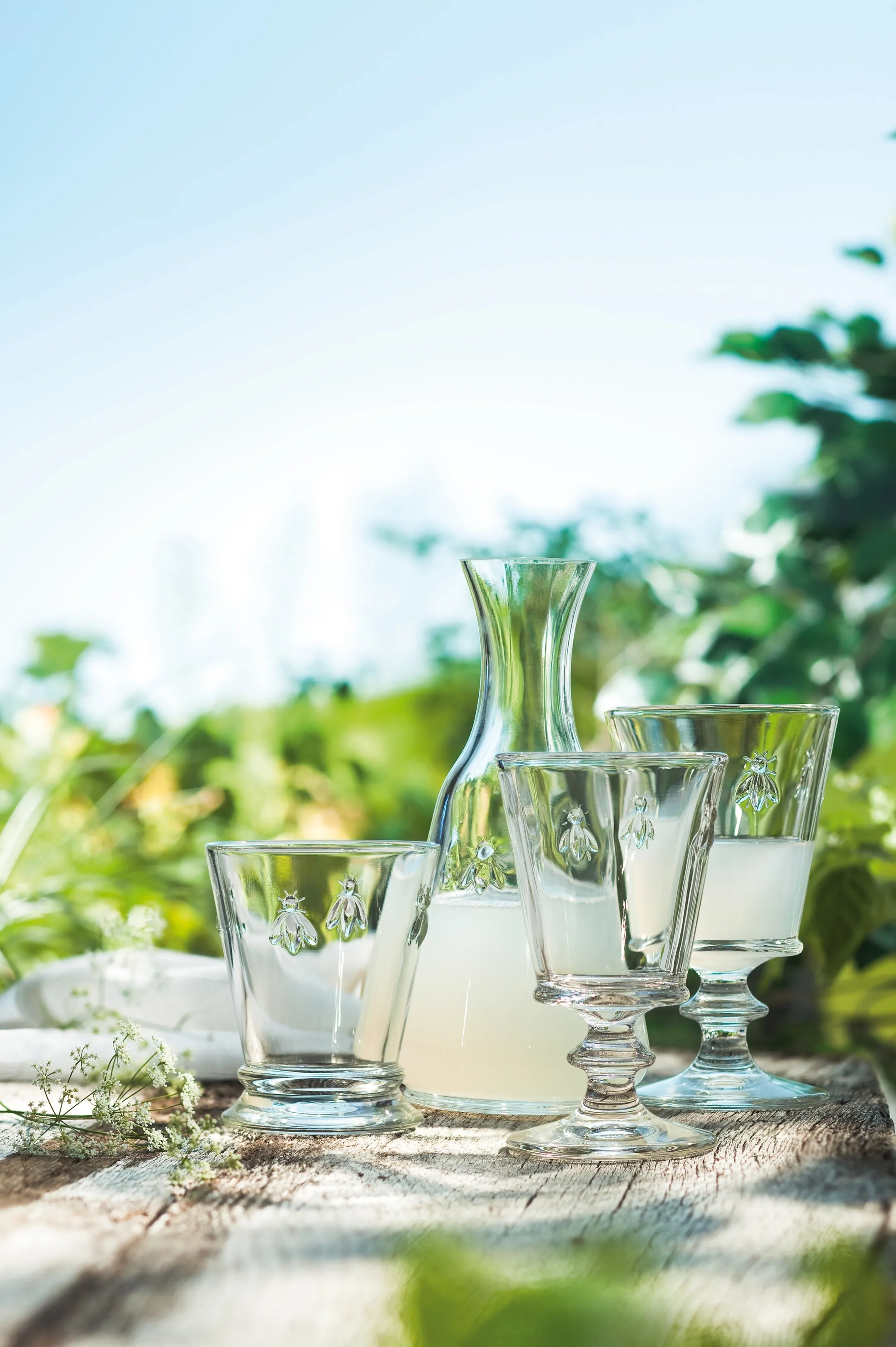 Bee Ice Tea Glass Set - 6