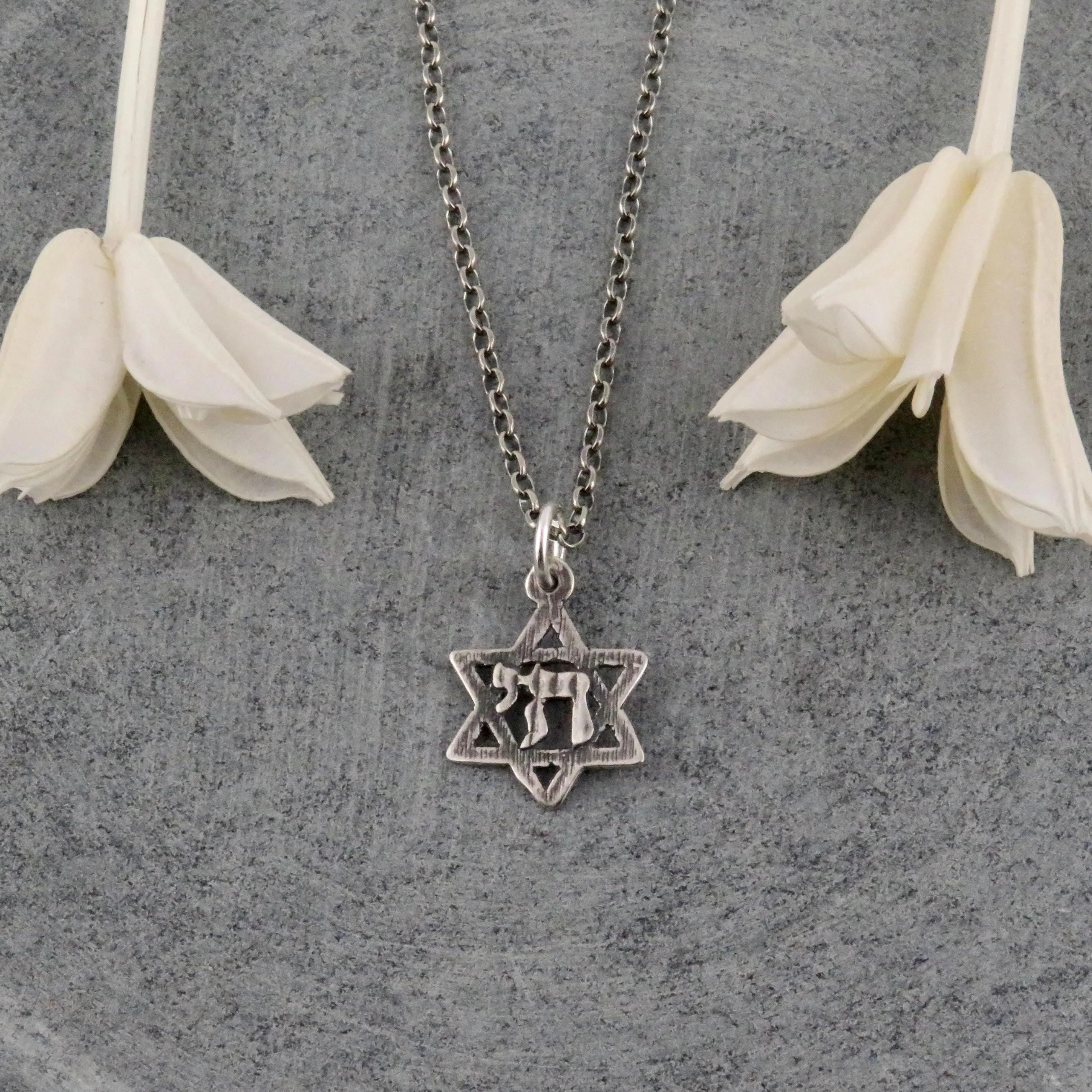 Delicate Chai in Star of David Necklace