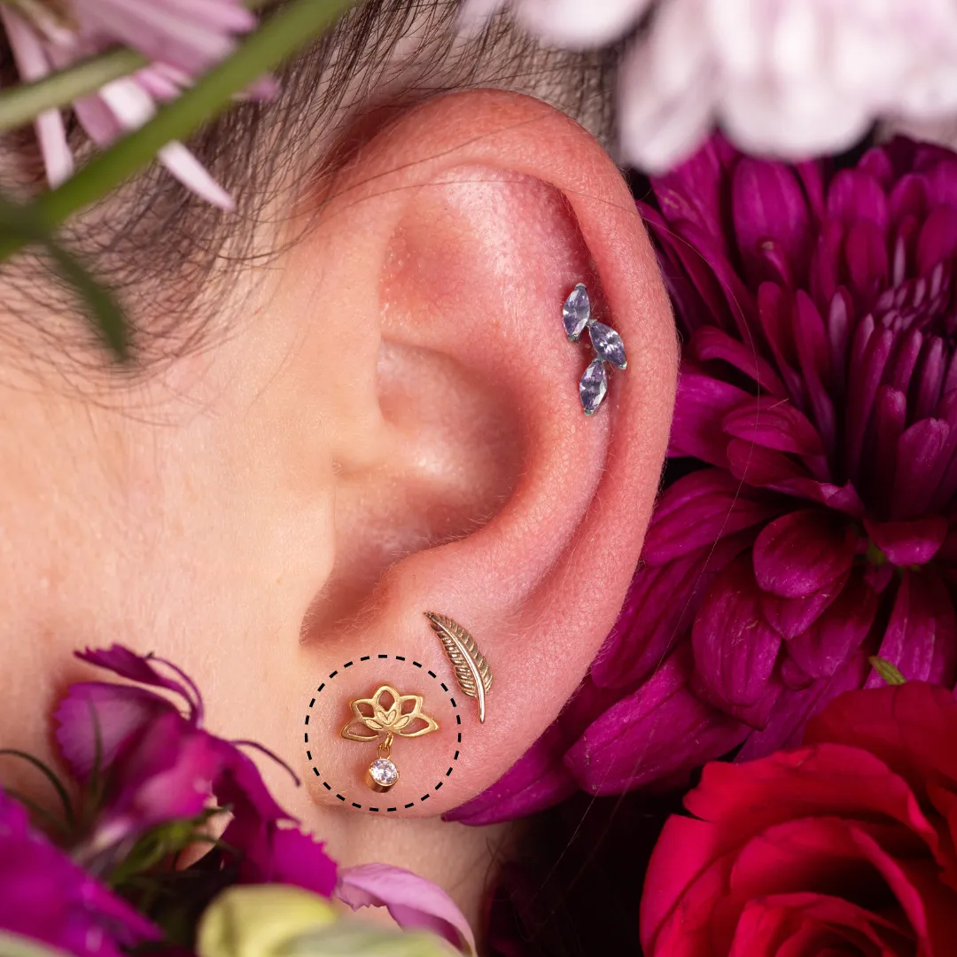 Lotus Dangle