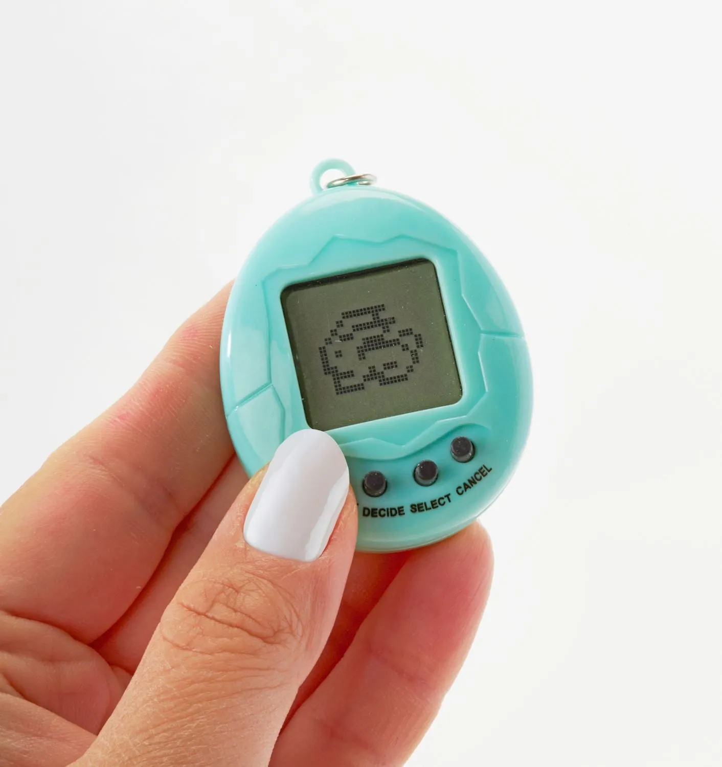 Virtual Pet Keychain